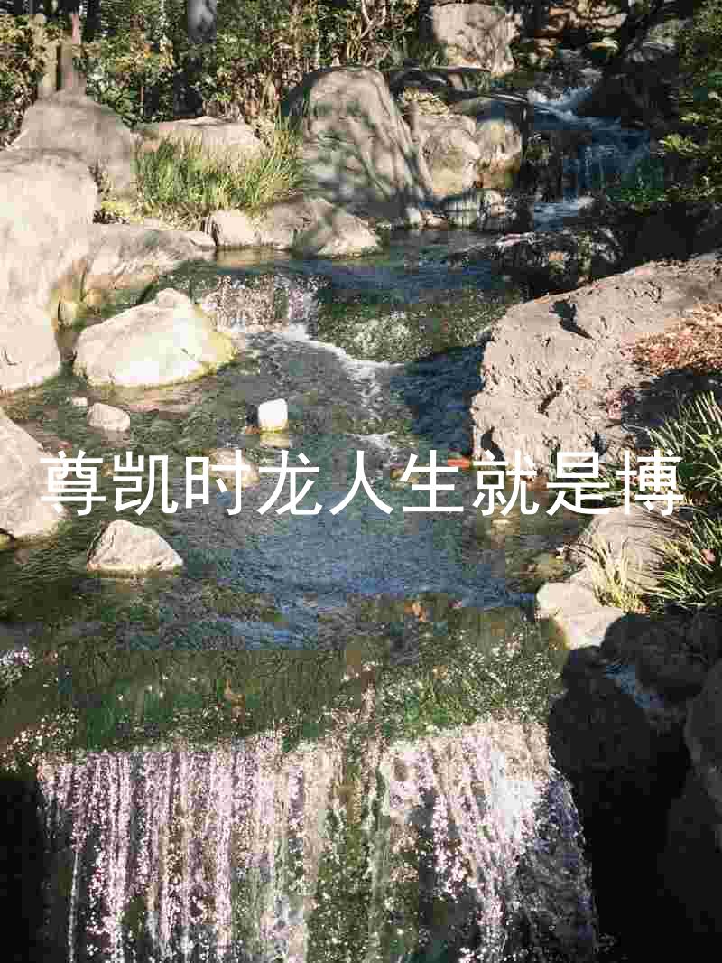 尊凯时龙人生就是博