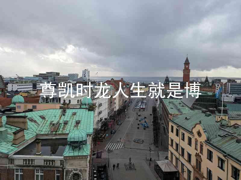 尊凯时龙人生就是博