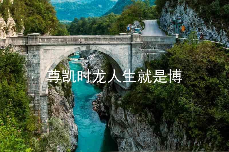 尊凯时龙人生就是博